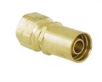 PF FITTING CRMP BRASS 06SAE-05